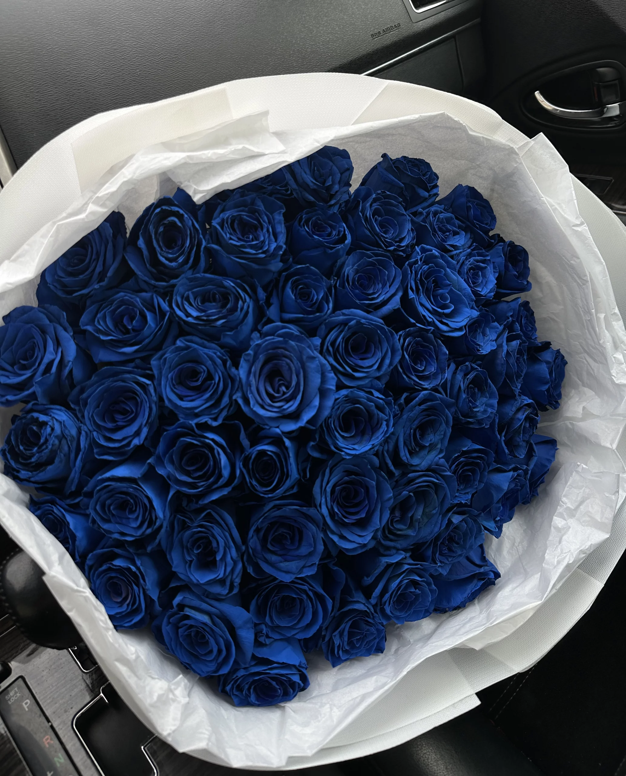 bouquet-of-roses-blu:-for-those-who-are-no-longer-surprised-by-red