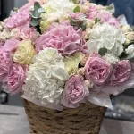 Korzina16-1 Korzina16-1