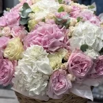 Korzina16-2 Korzina16-2